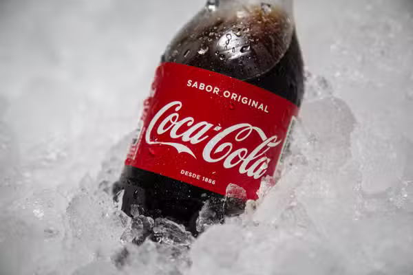 Bebida coca-cola 1L